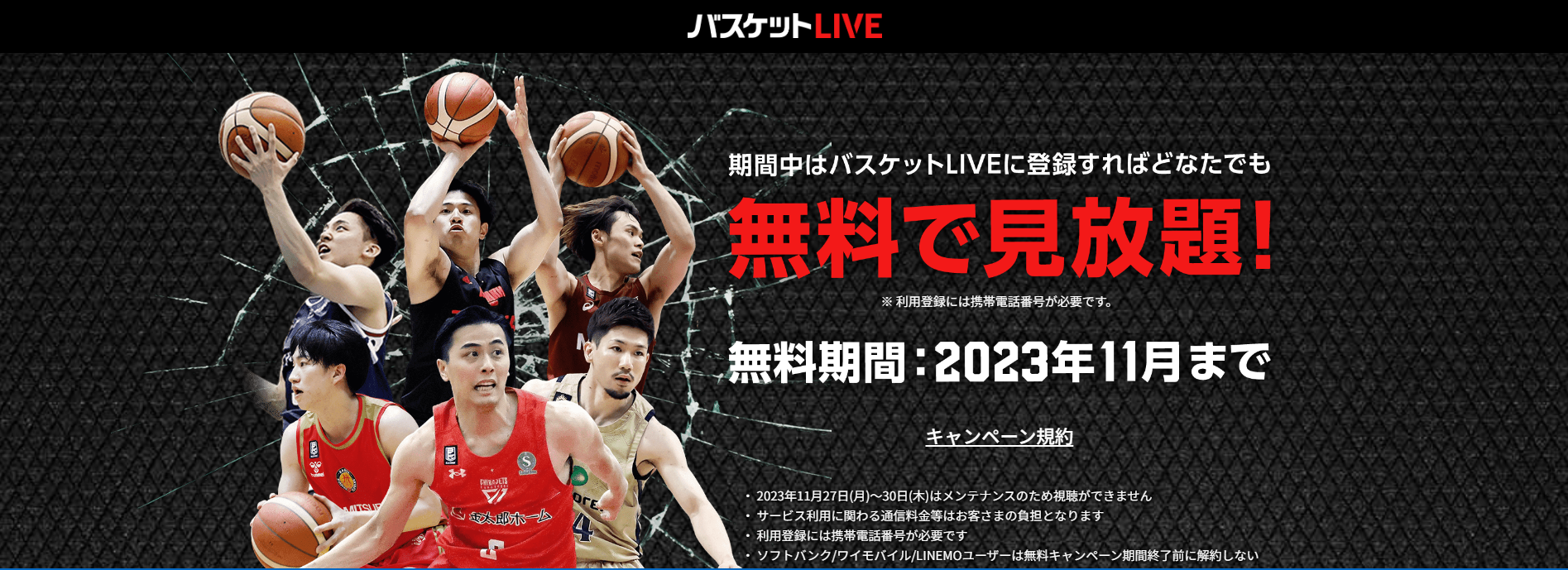 バスケットLIVE 無料見放題