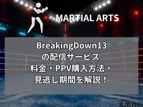 ブレイキングダウン(BreakingDown)13の配信サービス 料金・PPV購入方法・見逃し配信を解説！