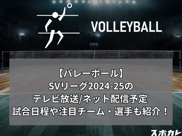 【バレーボール】SVリーグ2024-25のテレビ放送/ネット配信予定 試合日程や注目チーム・選手も紹介！