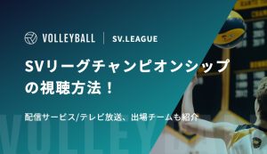 SVリーグチャンピオンシップの視聴方法！配信サービス/テレビ放送、出場チームも紹介