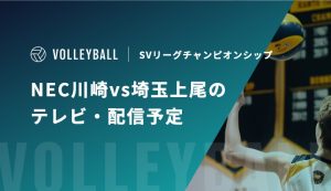 SVCS アイキャッチ