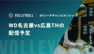 WD名古屋vs広島TH アイキャッチ
