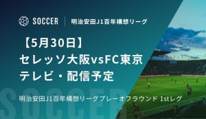 【5月30日】セレッソ大阪vsFC東京のテレビ・配信予定｜明治安田J1百年構想リーグ プレーオフラウンド