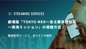 劇場版『TOKYO MER～走る緊急救命室～南海ミッション』の視聴方法！動画配信サービス、あらすじを解説