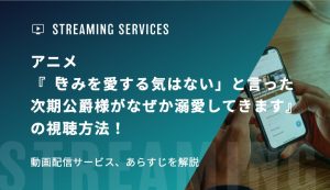 アニメ『「きみを愛する気はない」と言った次期公爵様がなぜか溺愛してきます』の視聴方法！動画配信サービス、あらすじを解説