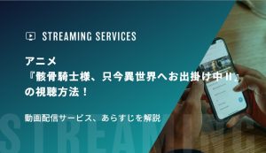 アニメ『骸骨騎士様、只今異世界へお出掛け中Ⅱ』の視聴方法！動画配信サービス、あらすじを解説