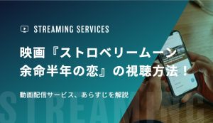 映画『ストロベリームーン 余命半年の恋』の視聴方法！動画配信サービス、あらすじを解説