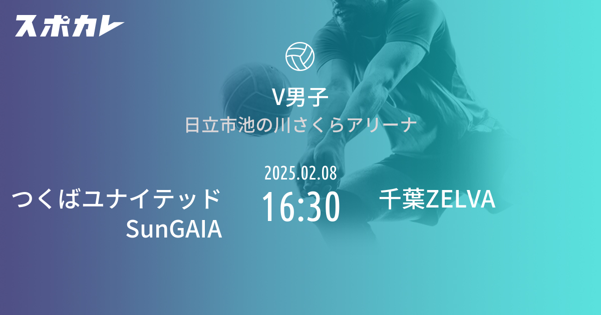 バレーボール V男子 EAST／レギュラーシーズン つくばユナイテッドSunGAIA 2025.02.08 未定 千葉ZELVAの情報