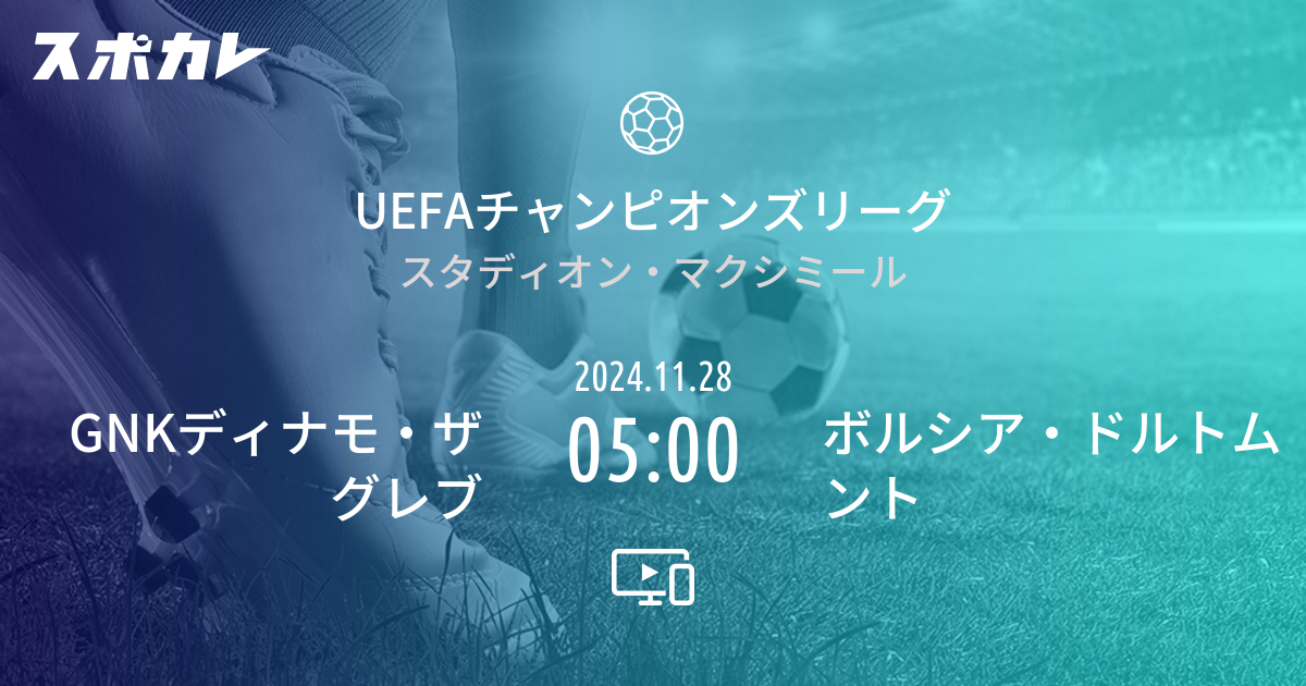 ロラタディナ メドクイミカのリーフレット